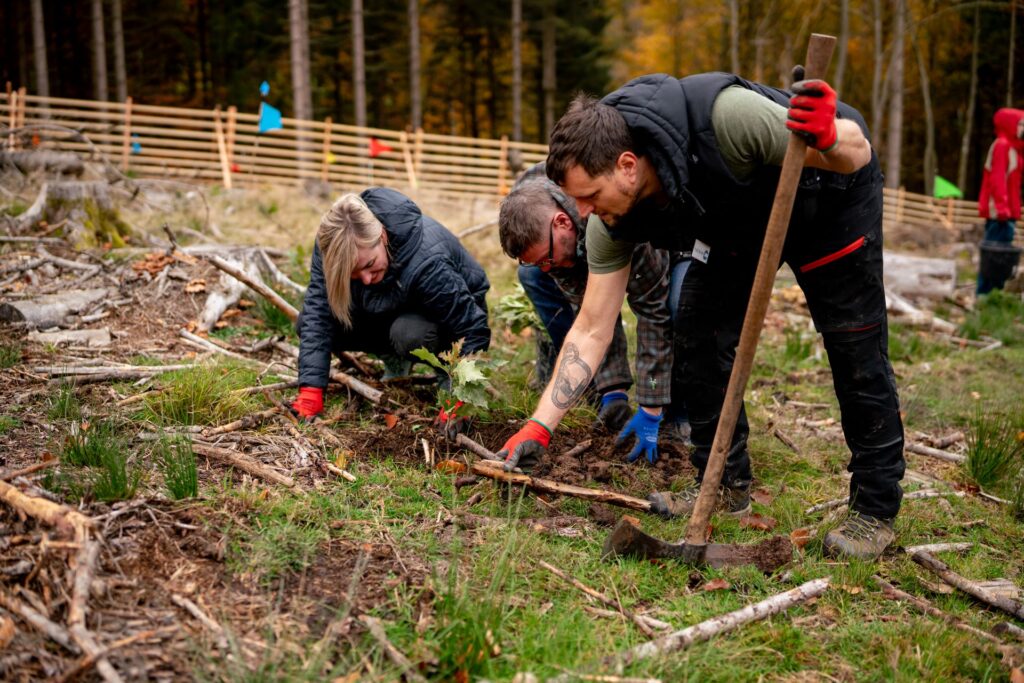 Riforestazione RIEDL